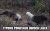 Nic z niczego się nie wzięło ...
