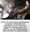 Realna wizja?