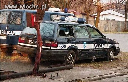 Widzisz psa w samochodzie w upalny dzień?