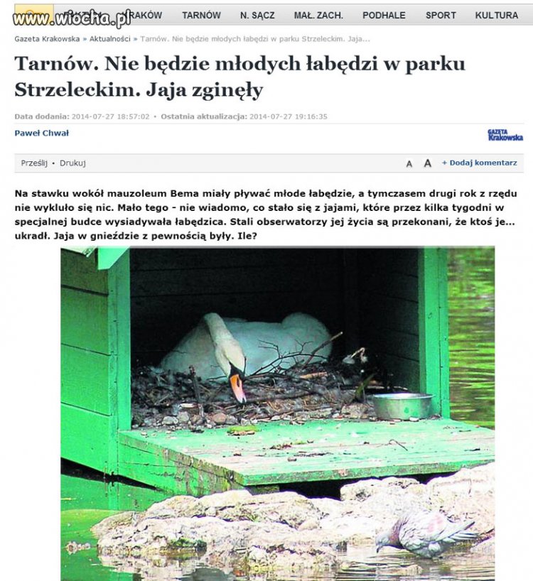 Poszły na jajecznicę... 