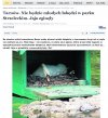 Poszły na jajecznicę... 