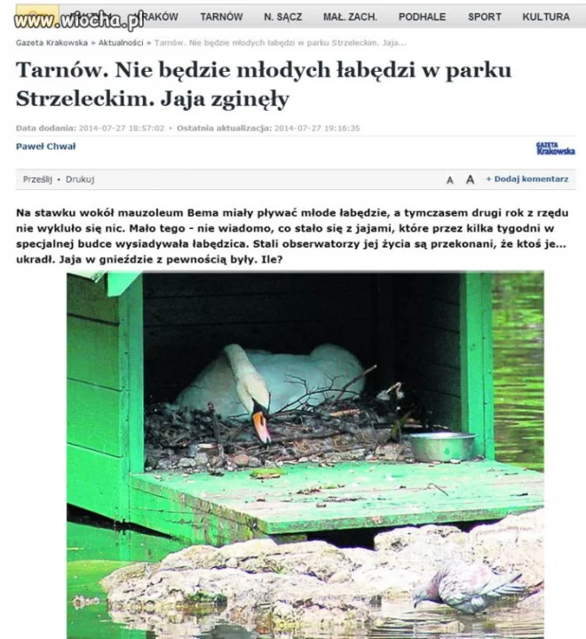 Poszły na jajecznicę... 