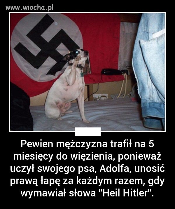 Śmieszne jest to, że do więzienia trafisz za 