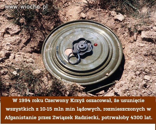 A posprzątać nie ma kto...