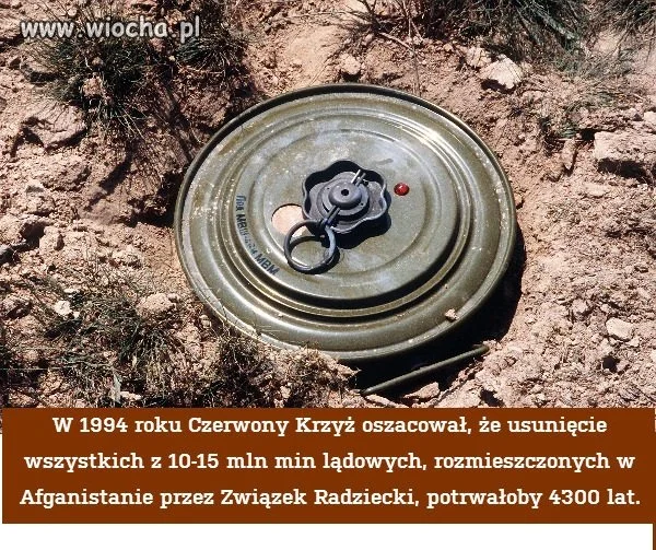 A posprzątać nie ma kto...