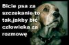Bije tyko prymityw