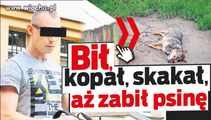 Dla takiego złamasa zero litości