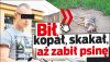 Dla takiego złamasa zero litości