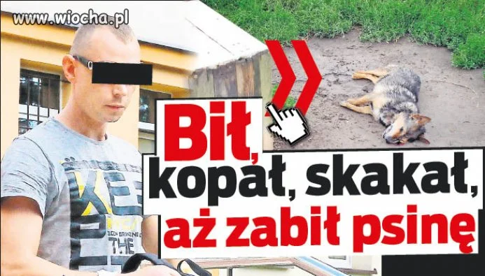Dla takiego złamasa zero litości