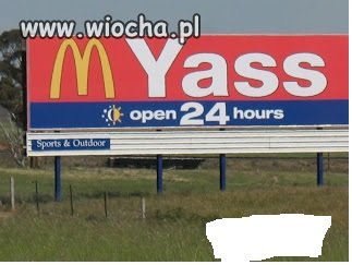 MY ASS 