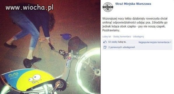 Ah jakie ta straż miejska