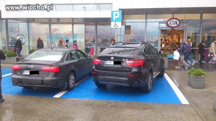Inwalidzi...umysłowi chyba! 