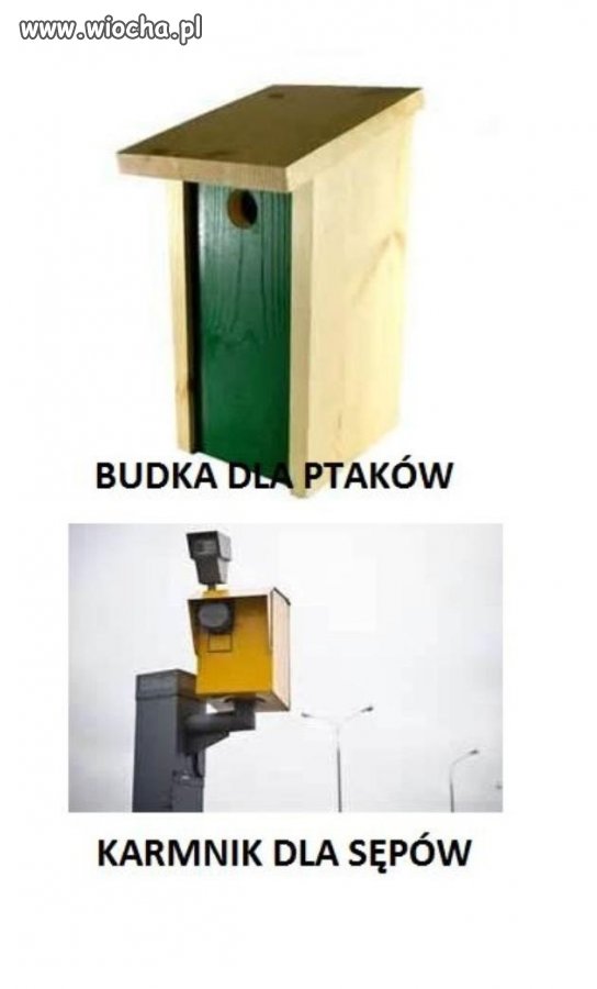 Takie porównanko 