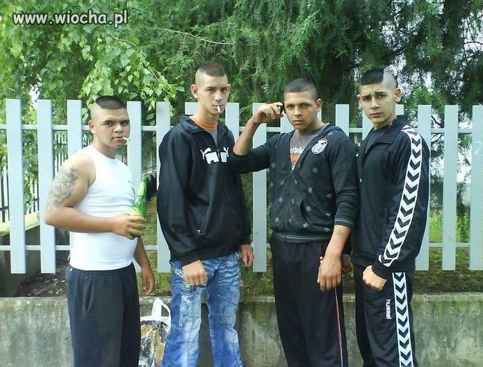 Cygańscy twardziele