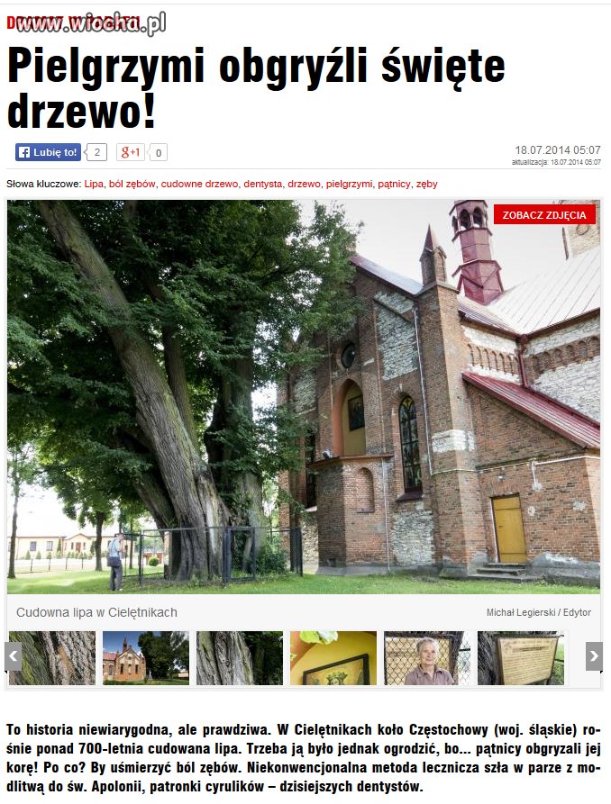 Prawie jak bobry