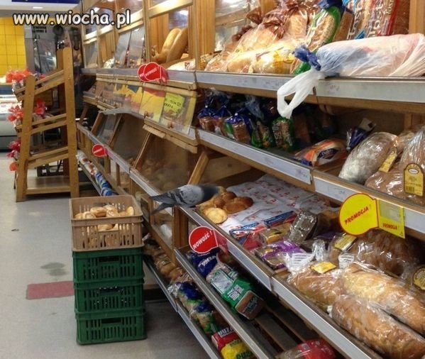 W marketach są zawsze jakieś nowości