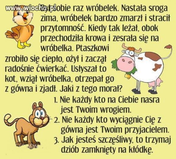 Nie każdy kto na ciebie nasra to twój wróg