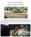Skarbówka jest jak tirówka