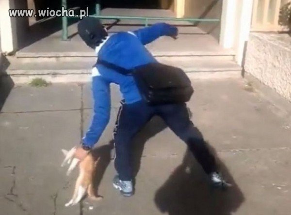 Kolejny debil znalazł sobie zabawe