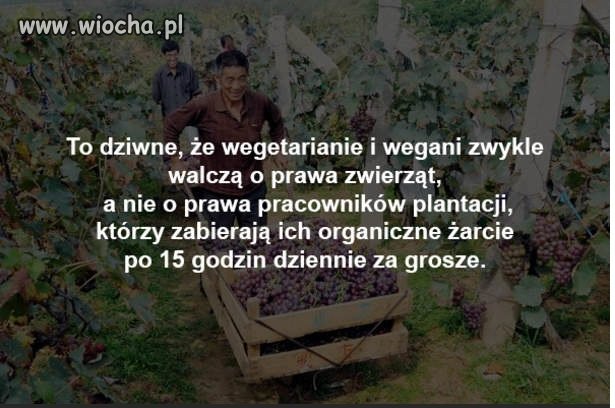 Zielona wiocha