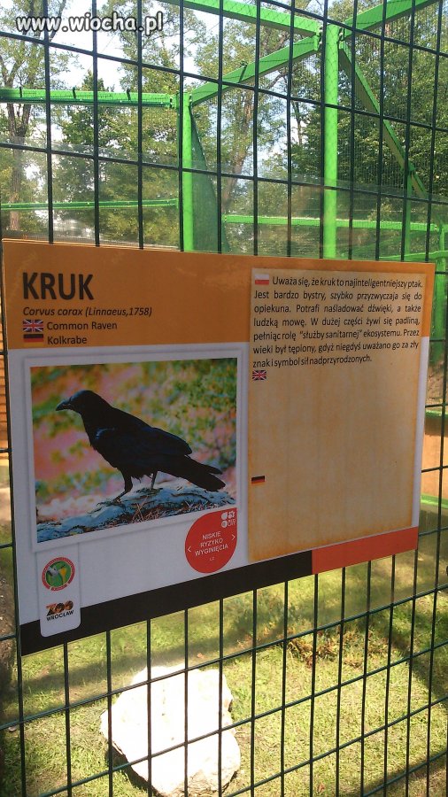 Park Wrocławski w Lubinie zabrakło na tłumaczenia