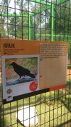 Park Wrocławski w Lubinie zabrakło na tłumaczenia