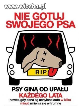 Apel!