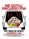 Apel!
