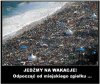 W te upały podobnie jest u nas