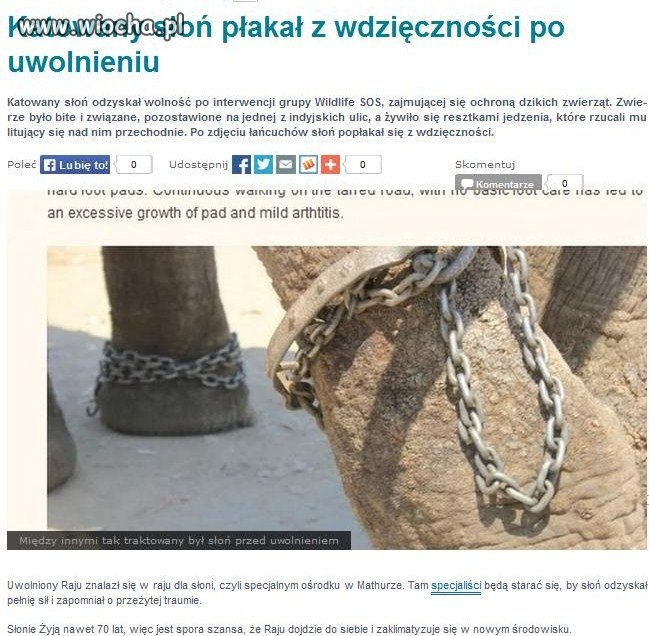 Ludzie to najokrutniejsze stworzenia na ziemi