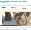 Ludzie to najokrutniejsze stworzenia na ziemi