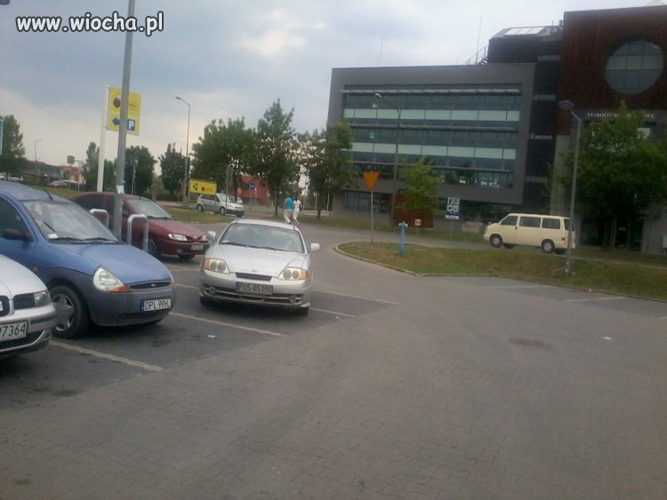 Mistrz parkowania
