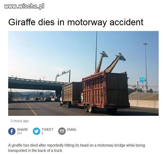Fotka tuż przed tym jak zderzyły się z mostem 