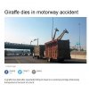 Fotka tuż przed tym jak zderzyły się z mostem 