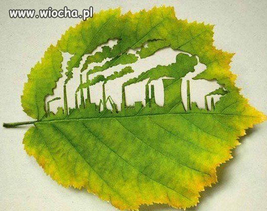Cywilizacja vs natura
