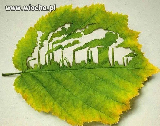 Cywilizacja vs natura
