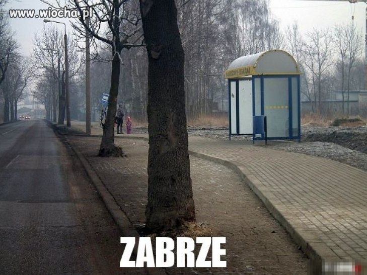 To się nazywa idiotyzm