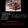 Tak właśnie można męczyć zwierzęta bezkarnie.  