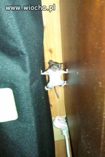 Mission impossible