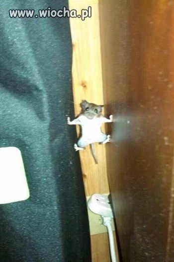 Mission impossible