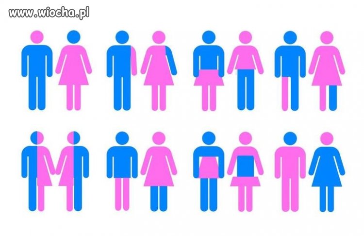 Gender - Totalna wiocha!