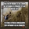 No i jak tu się nie zgodzić 