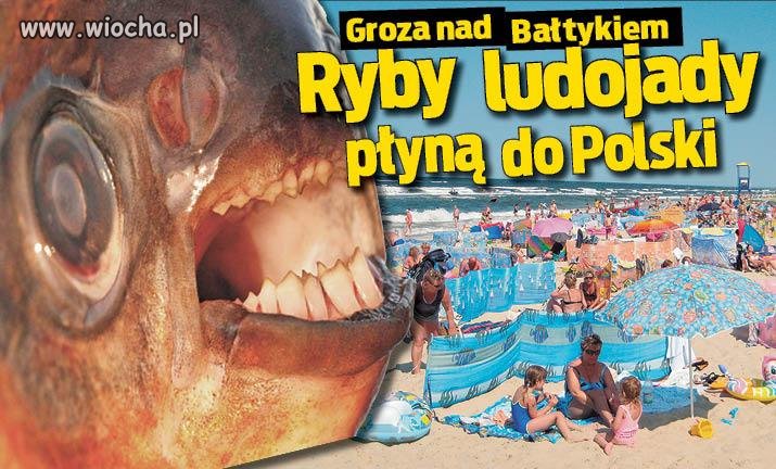 Wakacje, nie ma o czym pisać...