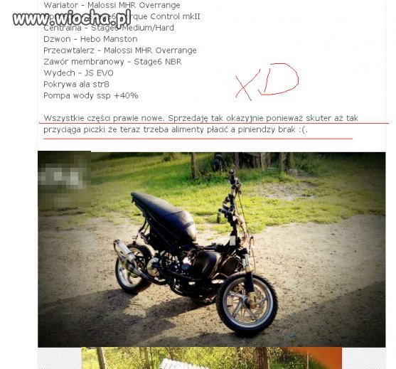 Dobry magnes na piczki 
