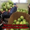 Wszystko może się przydać