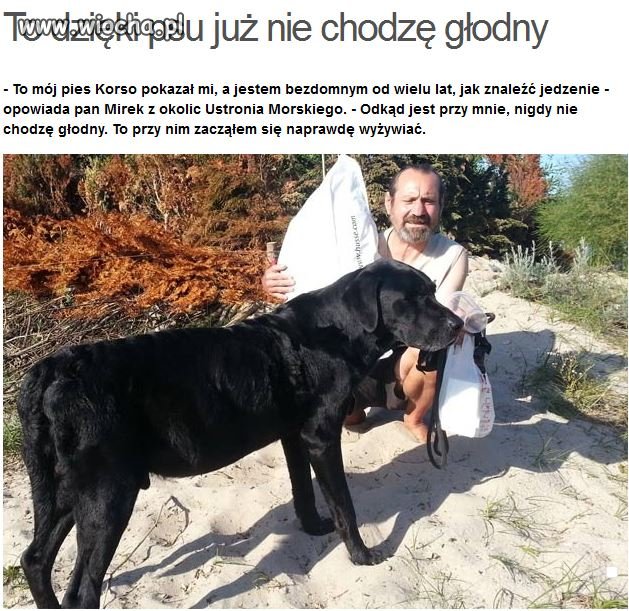 Polskie realia.