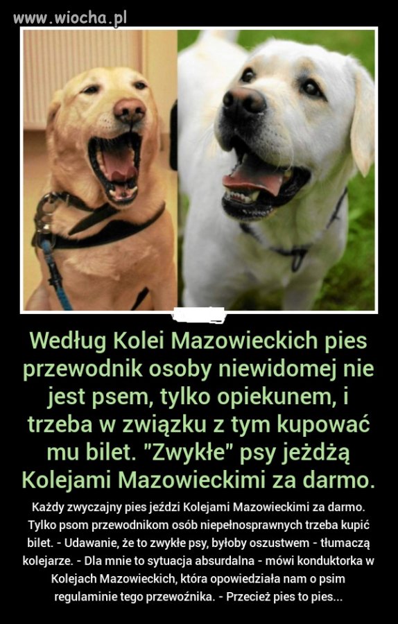 Jak ułatwić życie niepełnosprawnym...