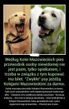 Jak ułatwić życie niepełnosprawnym...