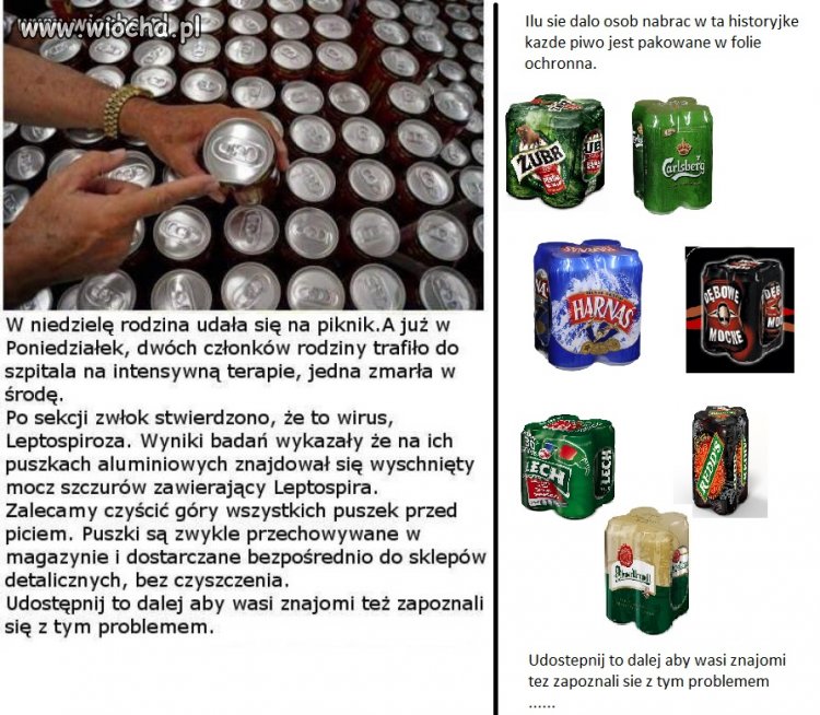 Problem szczura rozwiązany