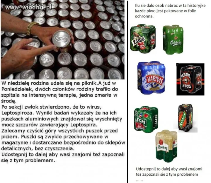 Problem szczura rozwiązany